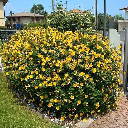 Ca Degli Artisti *